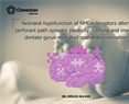 Emilio J. Galvan - Neonatal hypofunction of NMDA receptors alters perforant path synaptic plasticity, filtering and impairs dentate gyrus-mediated spatial discrimination