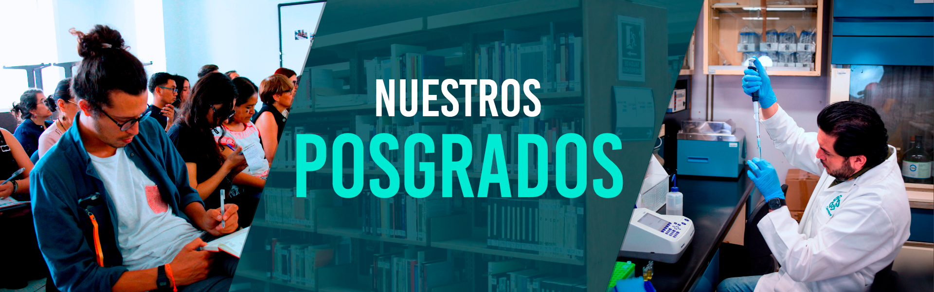 Estudia algunos de nuestros posgrados