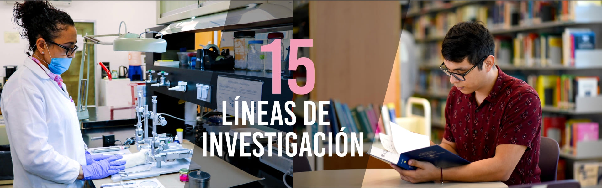 15 líneas de investigación