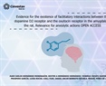 Luisa Rocha ArrietaEvidence for the existence of facilitatory interactions between the dopamine D2 receptor and the oxytocin receptor in the amygdala of the rat. Relevance for anxiolytic actions