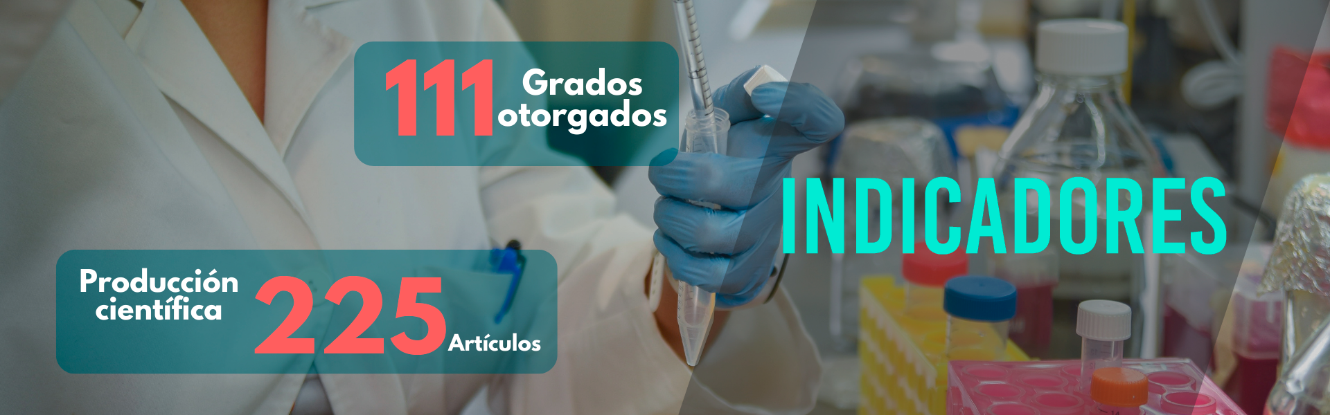 Indicadores