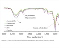 Agave amica a potential model for the study of agavins metabolism