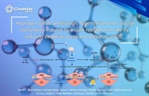 David Centurión - Hydrogen sulfide ameliorates hypertension and vascular dysfunction induced by insulin resistance in rats by reducing oxidative stress and activating eNOS