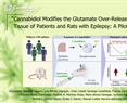 Luisa Rocha- Cannabidiol Modifies the Glutamate Over-Release in Brain Tissue of Patients and Rats with Epilepsy: A Pilot Study