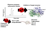 Nutraceutical Activity of Anthocyanins from the Edible Berries of Rhamnus pompana