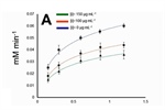 Anthocyanins of Hierbamora (Solanum nigrescens): Revealing their Nutraceutical Potential for Controlling Hypertriglyceridemia and Helicobacter pylori Viability