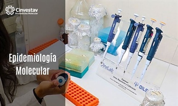 Epidemiología Molecular