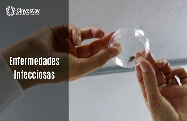 Enfermedades Infecciosas