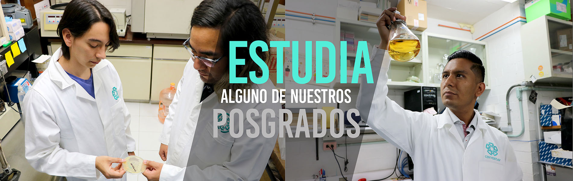 Banner-Programas de Posgrado