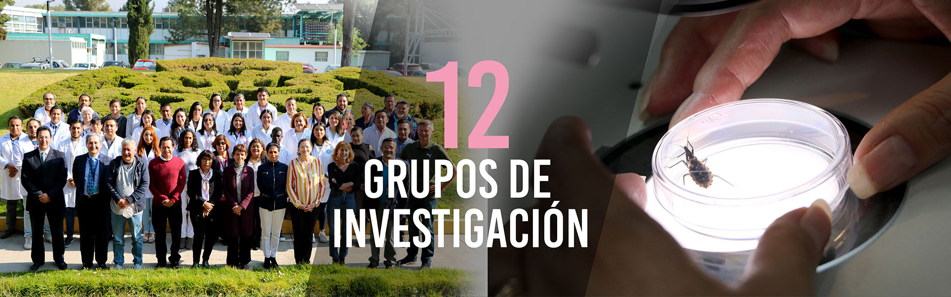 Banner-Grupos de Investigación