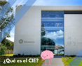 ¿Qué es el CIE?