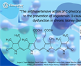 David Centurión- The antihypertensive action of C-phycocyanin is related to the prevention of angiotensin II-caused vascular dysfunction in chronic kidney disease