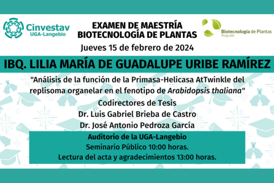Examen de maestría de IBQ. Lilia María de Guadalupe Uribe Ramírez