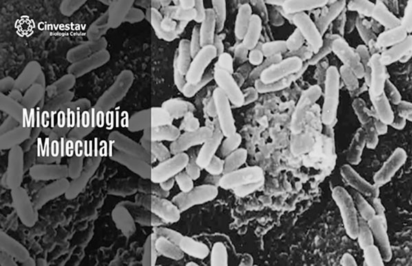 Microbiología Molecular