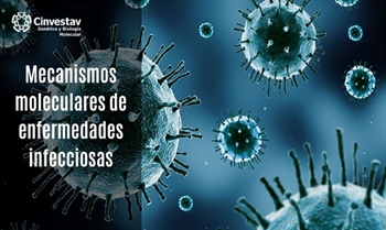 Mecanismos moleculares de enfermedades infecciosas