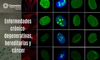 Enfermedades crónico-degenerativas, hereditarias y cáncer