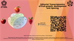 Editorial: Transcriptomics of fruit growth, development and ripening