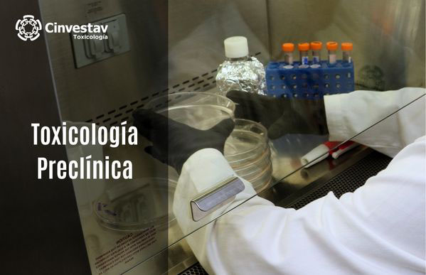 TOXICOLOGÍA PRECLÍNICA