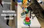 MECANISMOS MOLECULARES DE TOXICIDAD