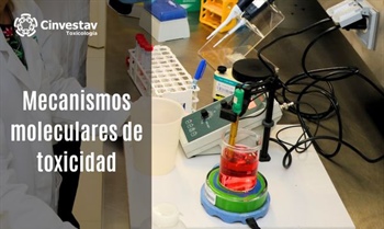 MECANISMOS MOLECULARES DE TOXICIDAD