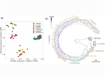 Genetic structure and ecological niche space of lentil's closest wild relative, Lens orientalis (Boiss.) Schmalh.