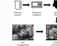 Arsenate Adsorption from Aqueous Solutions Using Chitosan/Fe-Nanoparticles Composite Microspheres