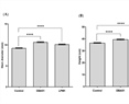 Bio-Inoculation of Tomato (Solanum lycopersicum L.) and Jalapeño Pepper (Capsicum annuum L.) with Enterobacter sp. DBA51 Increases Growth and Yields under Open-Field Conditions