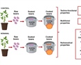 Nonanal, a volatile organic compound, improves the techno-functional, nutritional, and nutraceutical properties of the common bean (Phaseolus vulgaris L.)