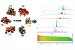 Revealing the 1H-NMR Profiling of Six Edible Mushrooms Consumed in the Northeastern Highlands of Puebla, Mexico