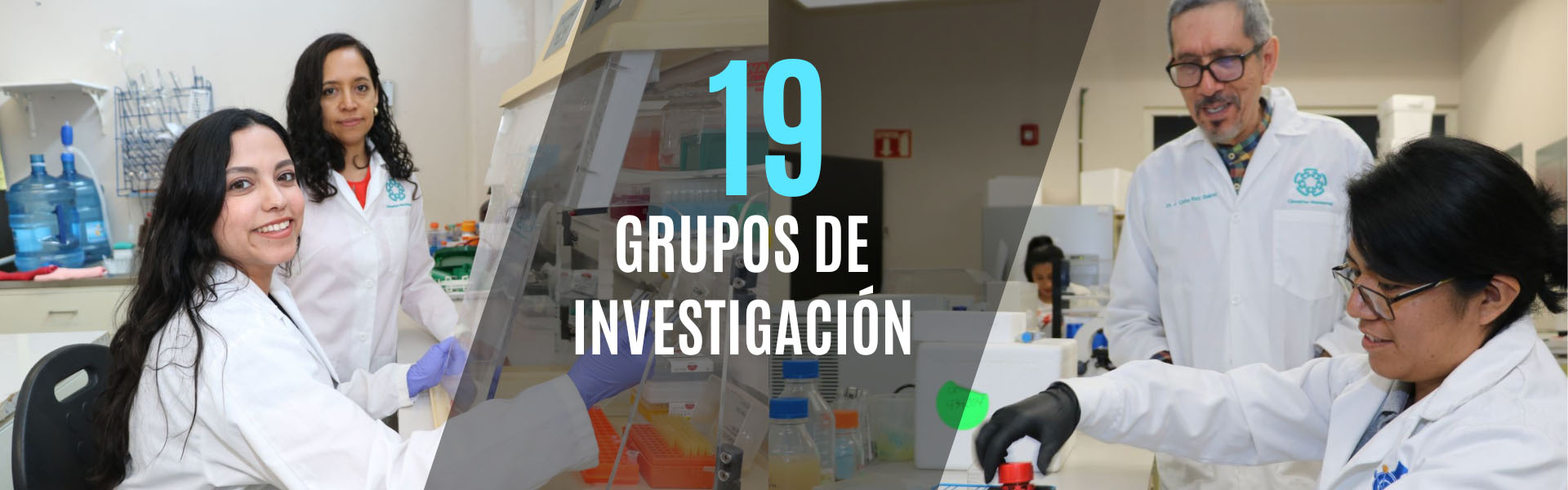 Grupos de Investigación