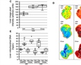 The DNA methyltransferase inhibitor decitabine blunts the response to a high-animal fat and protein diet in mice