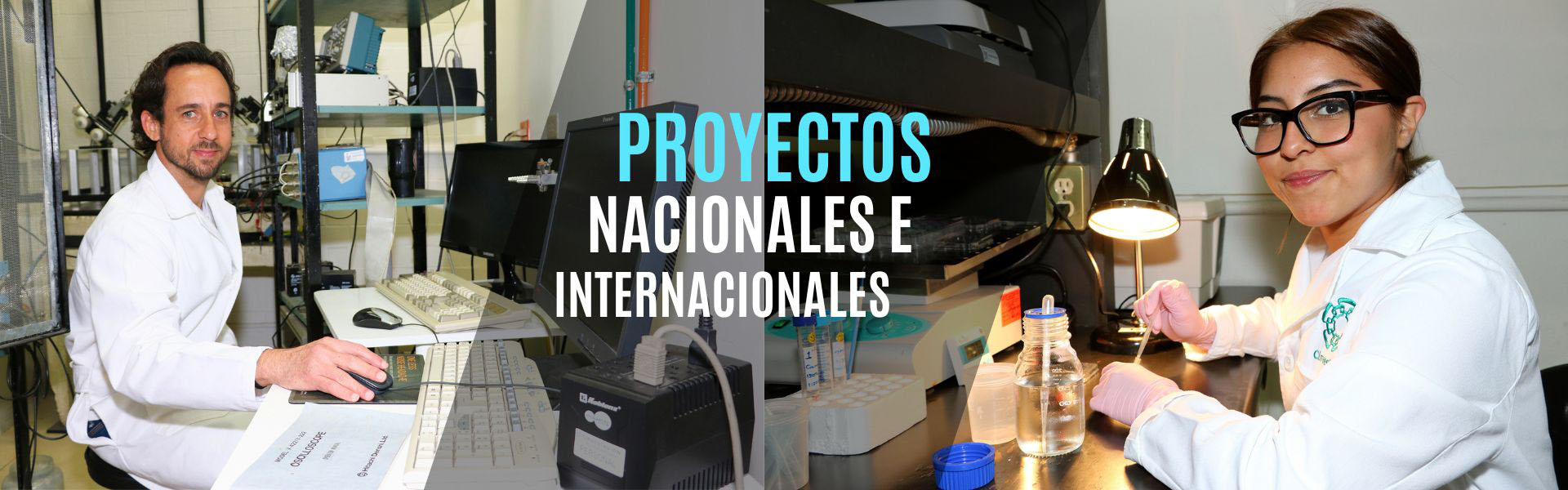 Banner-Proyectos