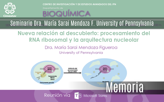 Seminario Dra. Sarai Mendoza