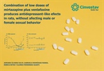 Alonso Fernández‑Guasti - Combination of low doses of mirtazapine plus venlafaxine produces antidepressant‑like efects in rats, without afecting male or female sexual behavior