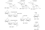 Thevetia thevetioides Cardenolide and Related Cardiac Glycoside Profile in Mature and Immature Seeds by High-Resolution Thin-Layer Chromatography (HPTLC) and Quadrupole Time of Flight–Tandem Mass Spec