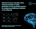 Maternal immune activation alters temporal precision of spike generation of CA1 pyramidal neurons by unbalancing GABAergic inhibition in the Offspring