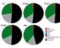 Comparative Genomic Analyses of Colletotrichum lindemuthianum Pathotypes with Different Virulence Levels and Lifestyles