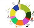 Biocontrol Activity of Bacillus altitudinis CH05 and Bacillus tropicus CH13 Isolated from Capsicum annuum L. Seeds against Fungal Strains