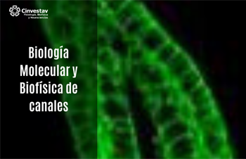 Biología Molecular y Biofísica de canales