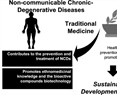 Ethnomedicine and Non-communicable Chronic Degenerative Diseases: Local Knowledge and Participation for Wellbeing in Northwest Mexico