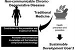 Ethnomedicine and Non-communicable Chronic Degenerative Diseases: Local Knowledge and Participation for Wellbeing in Northwest Mexico