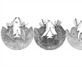 Are Cactus Spines Modified Leaves? Morphological and Anatomical Characterization of Saguaro Seedlings (Carnegiea gigantea) with Special Focus on Aerial Organ Primordia