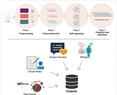 An Eclectic Approach for Enhancing Language Models Through Rich Embedding Features