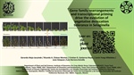 Gene family rearrangements and transcriptional priming drive the evolution of vegetative desiccation tolerance in Selaginella