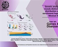 Genetic analysis of APOE reveals distinct origins and distribution of ancestry-enrichment haplotypes in the Mexican Biobank