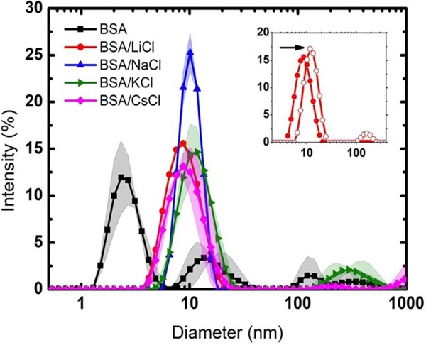 Albúmina de suero de bovino: una proteína muy aglomerada