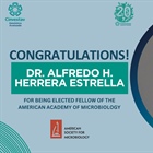 65 Fellows Elected Into the American Academy of Microbiology