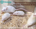 Multiparity Favors Same-sex Partner Preference in Male Rats