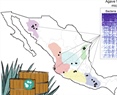 Microbial Communities in Agave Fermentations Vary by Local Biogeographic Regions