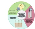 Microbial Inoculants in Sustainable Agriculture: Advancements, Challenges, and Future Directions